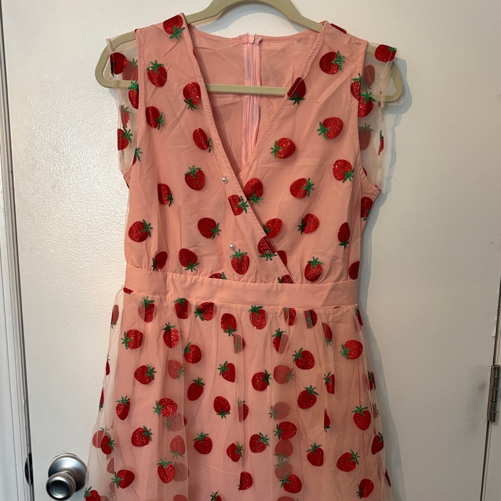 Retro Stage Women's Pink Strawberry Embroidered  Dress NWT